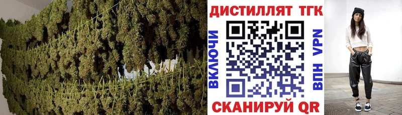 ТГК вейп с тгк  хочу   Новая Ладога 